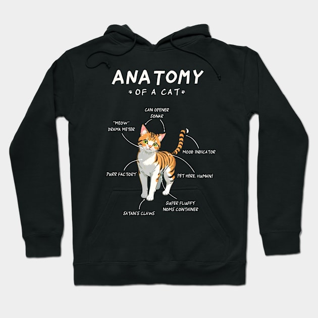 Cat Anatomy - funny, cute, cat gift idea Hoodie by Fanboy04